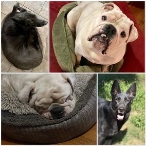 Meet your Posher, Denise